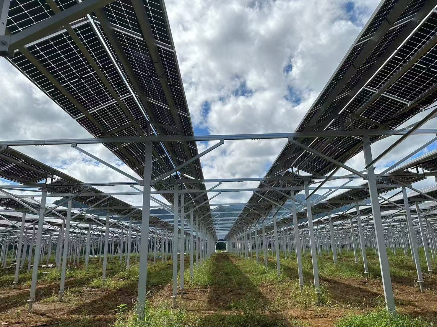 زرعی شیڈ کی حمایت کے فوائد